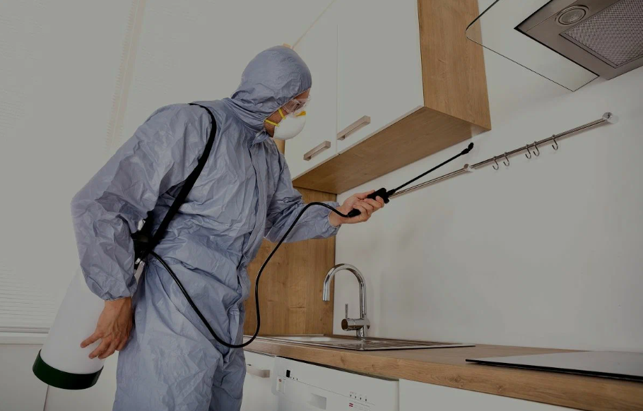 Arcadia pest managment